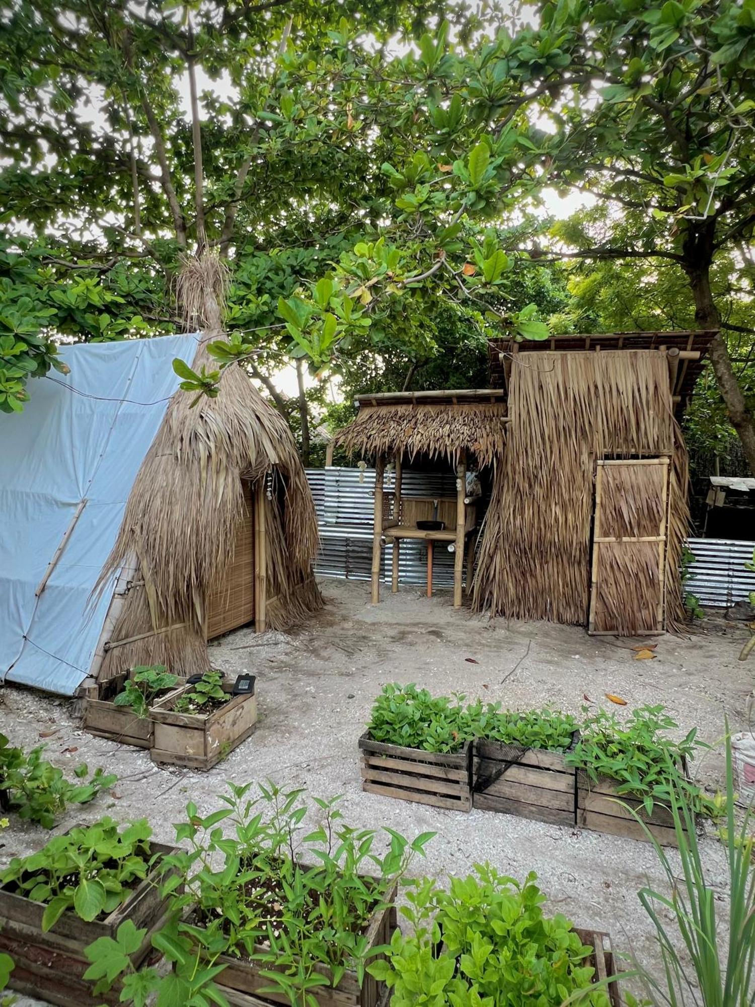 Auberge de jeunesse Tribal Huts Community à Daanbantayan Extérieur photo